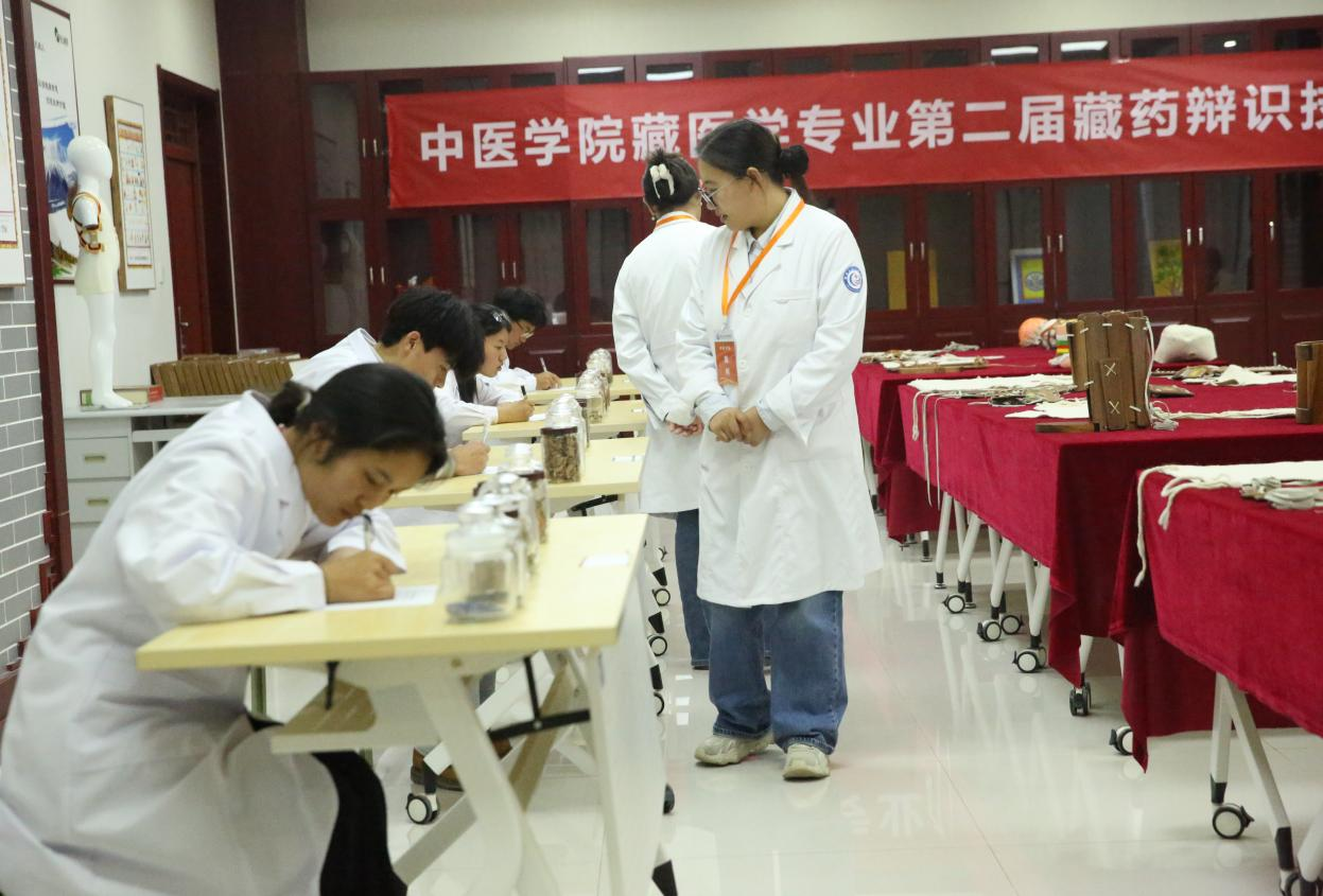 雪域本草显真章，慧眼识药传匠心 ——中医学院成功举办藏医学专业第二届藏药辨识技能竞赛